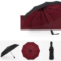 Storm-proof & Foldable Umbrella – AeroShield