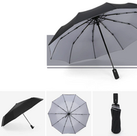 Storm-proof & Foldable Umbrella – AeroShield