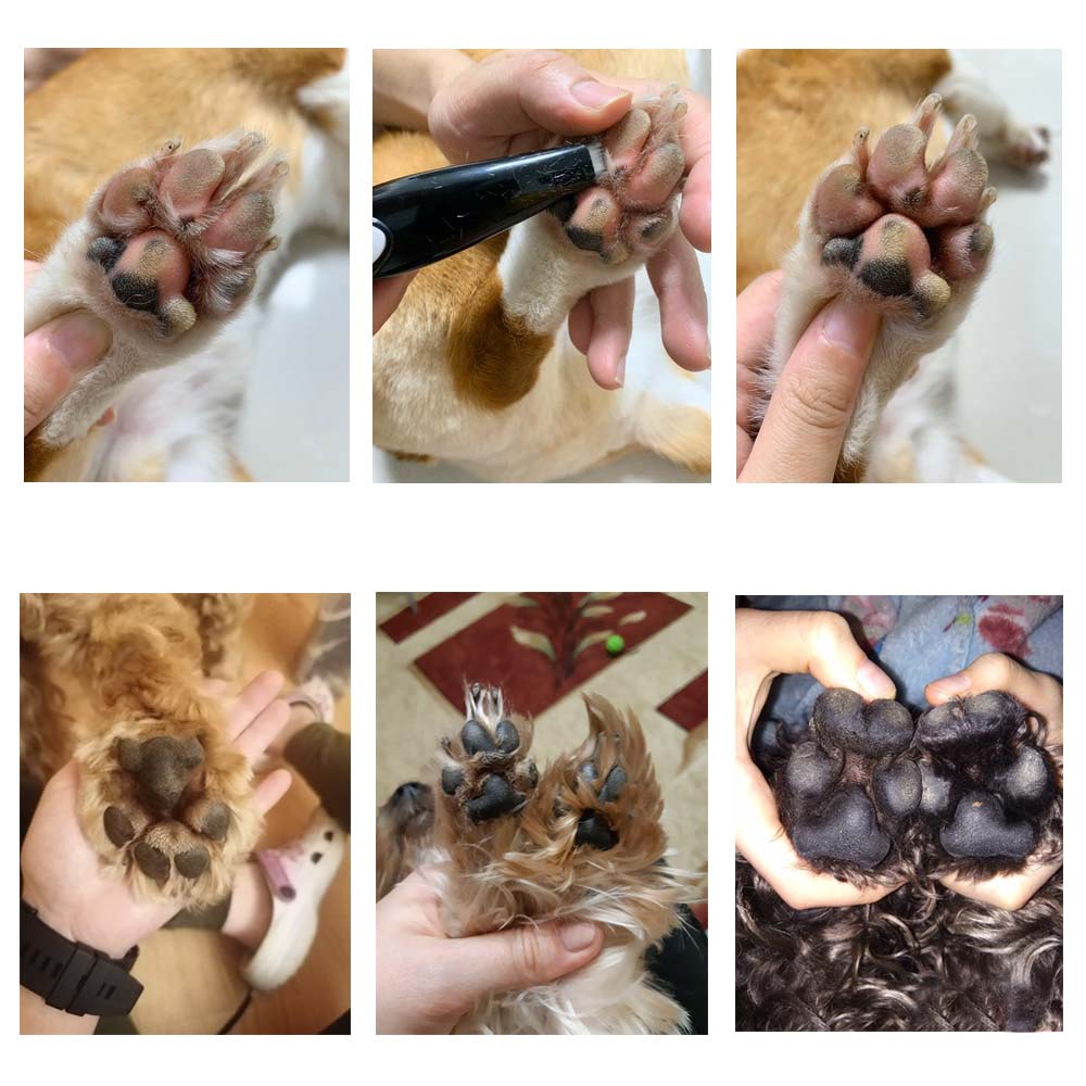 Pet Grooming Hair Clipper - PawPerfect-State of Style