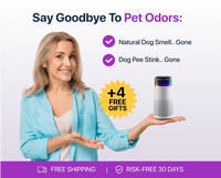 PetFresh Animal Scent Humidifier-Black-State of Style