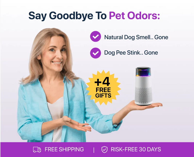 PetFresh Animal Scent Humidifier-Black-State of Style