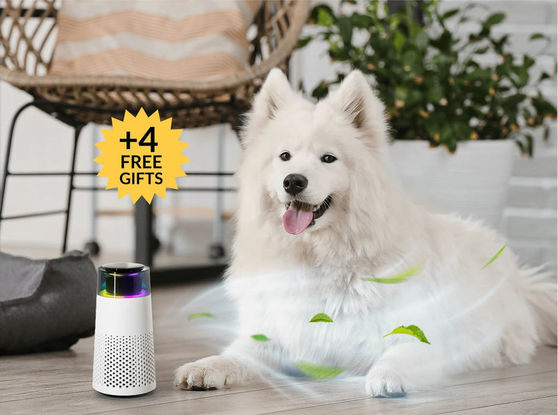 PetFresh Animal Scent Humidifier-Black-State of Style