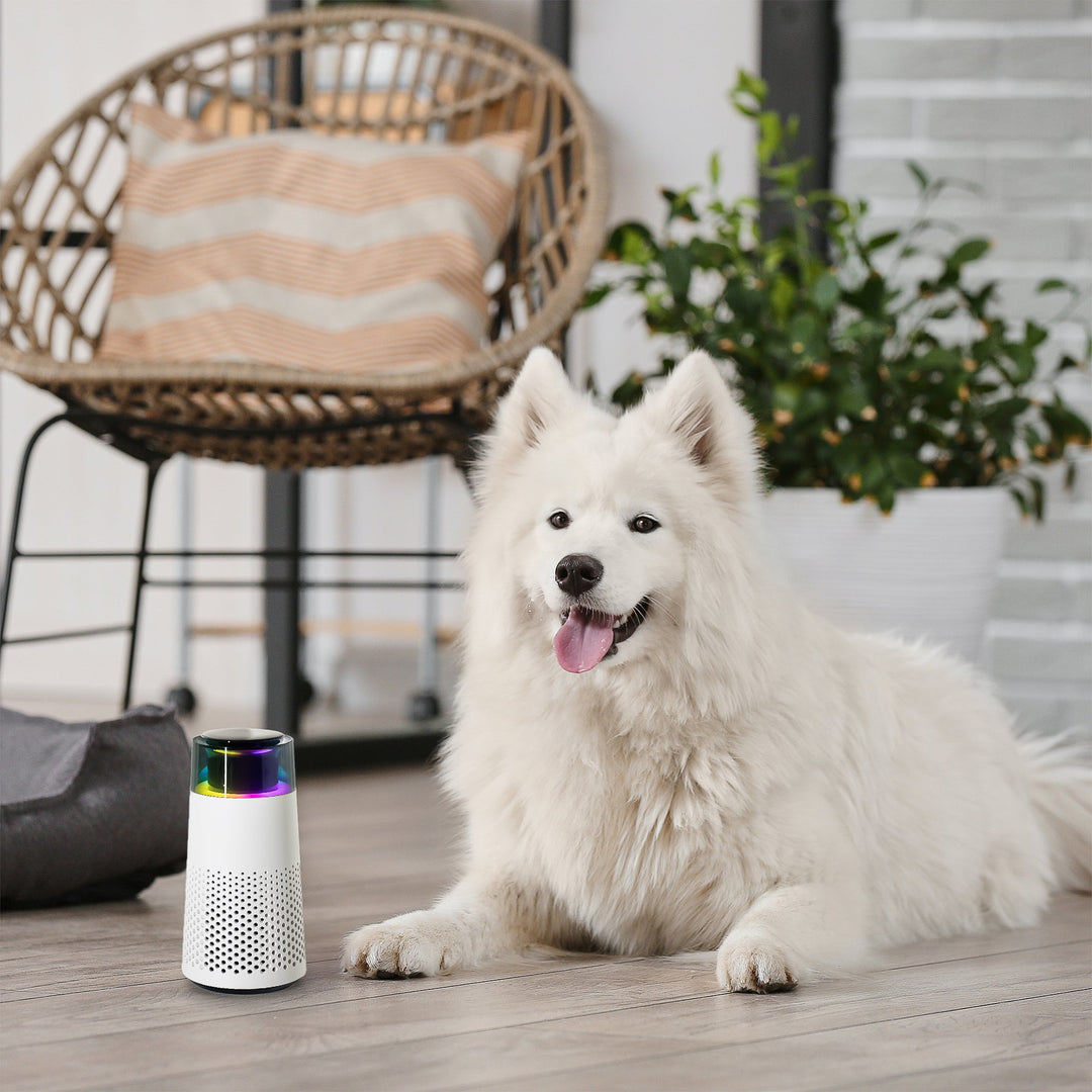 PetFresh Animal Scent Humidifier-Black-State of Style