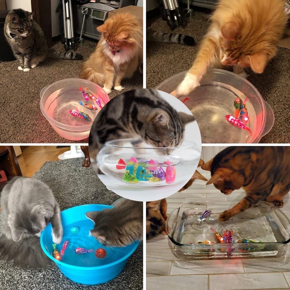 Playset for Cats - AquaPurr-3 Fish Toys (67% DISCOUNT)-State of Style