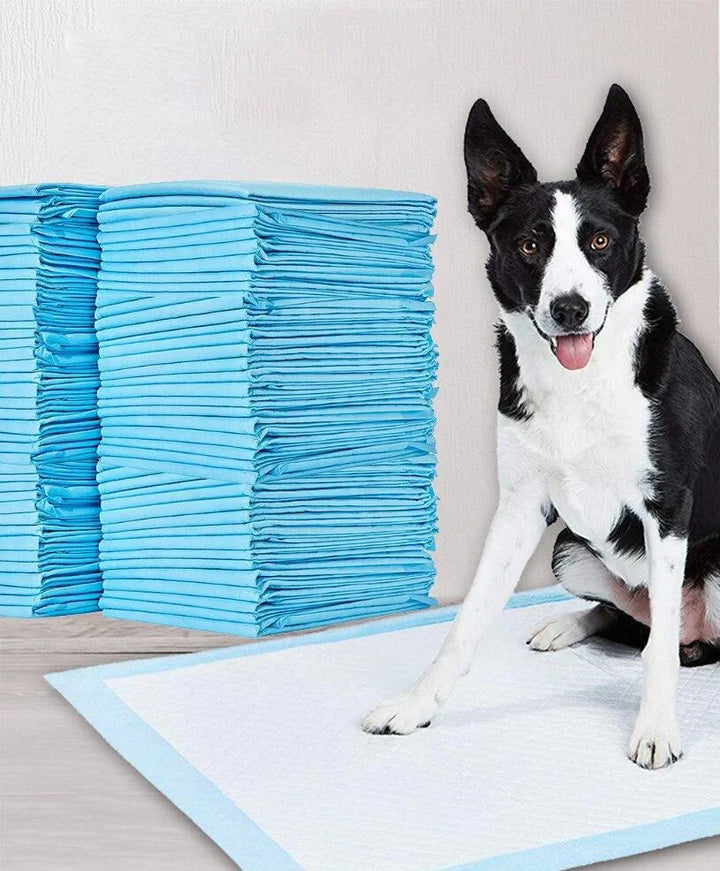 Potty Training Mats - PeeMaster Pads-State of Style