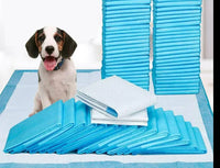 Potty Training Mats - PeeMaster Pads-State of Style