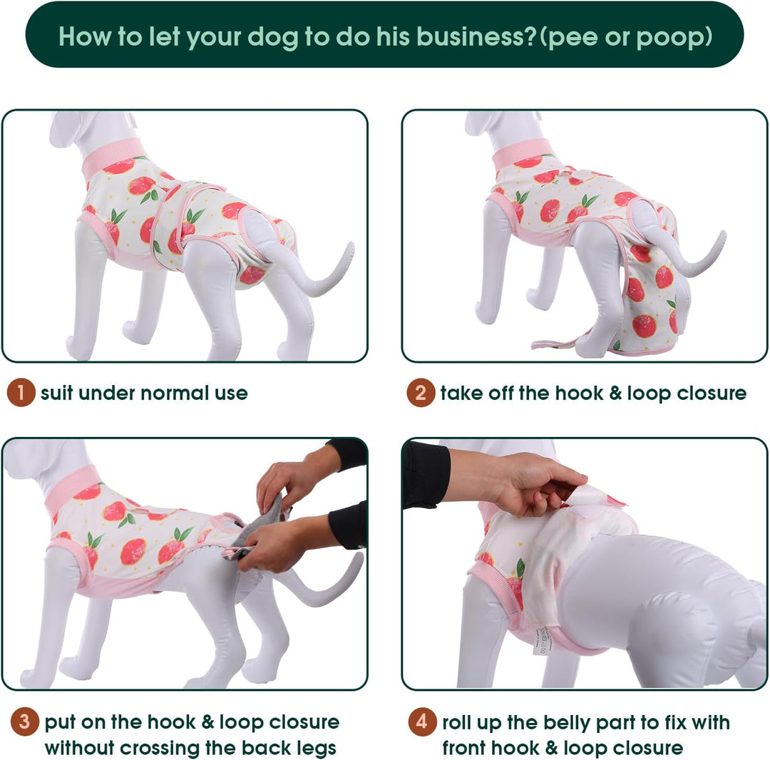 Quick Recovery Suit for Pets – Healing After Surgery-Apples-XS-State of Style