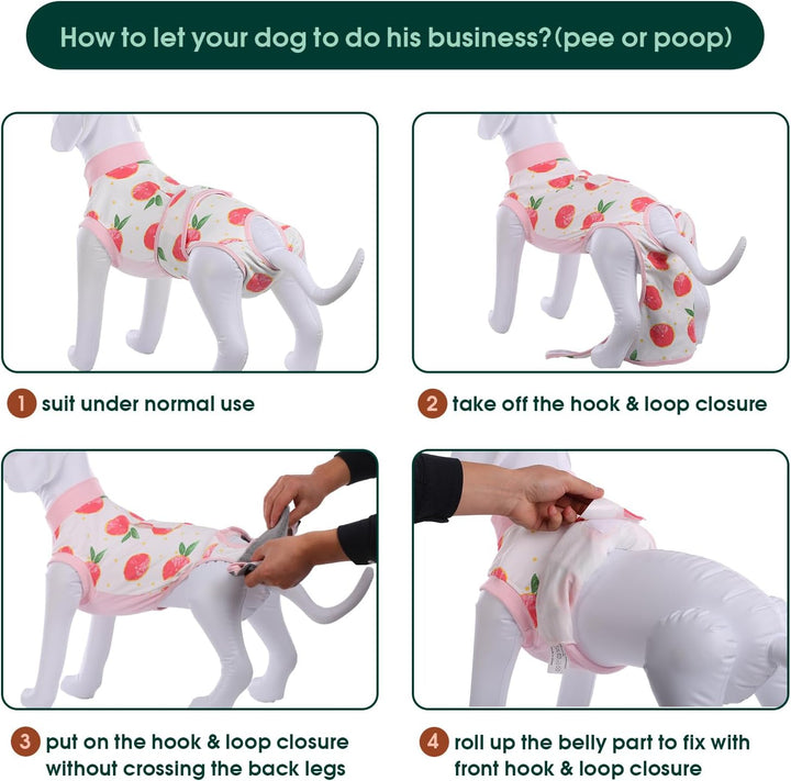 Quick Recovery Suit for Pets – Healing After Surgery-Apples-XS-State of Style