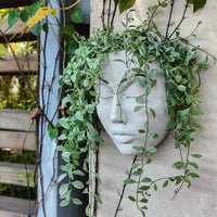 Resin Human Face Hanging Planter - FaceVibe-A-State of Style