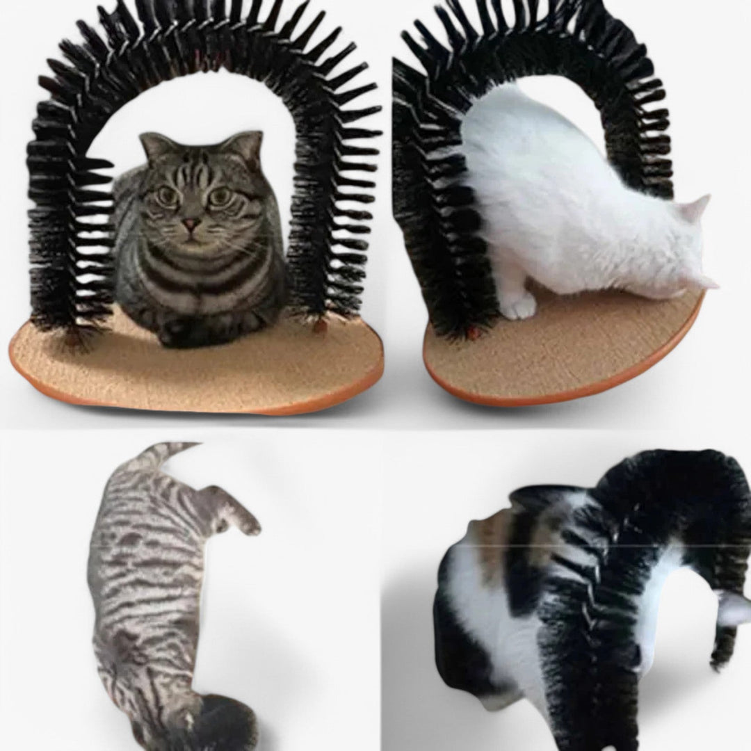 Self-Care Crab and Massage Arch for Cats – Mira-State of Style