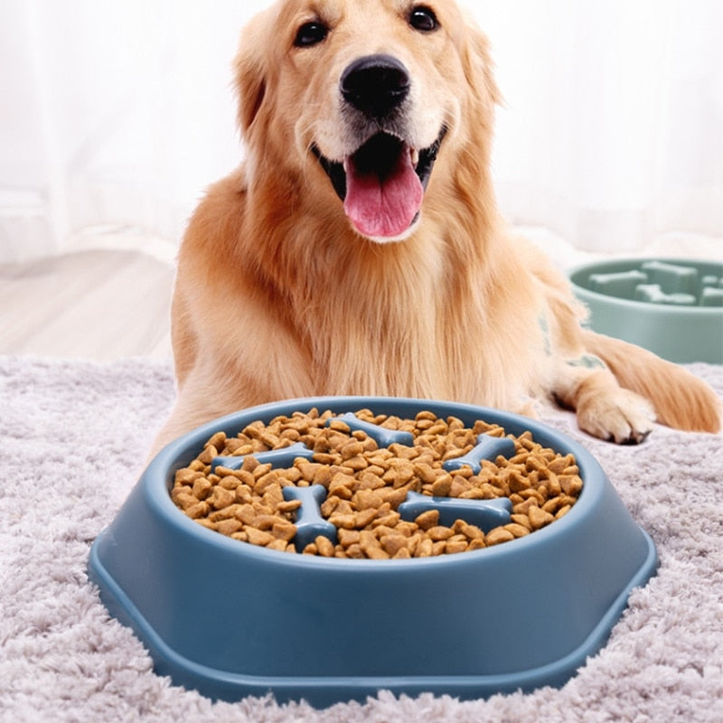 Slow Feeder Bowl - PawMaze™-Blue-State of Style