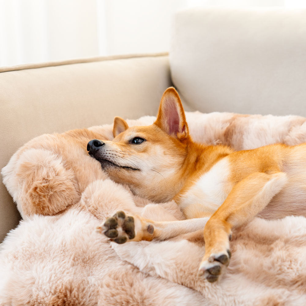 Soft Dog Bed - PlushNest-Grey-S-State of Style