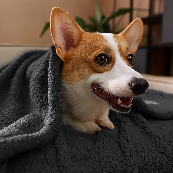 Soft Puppy Blanket - SnuggleFur Fleece-Grey-80 x 100 cm-State of Style