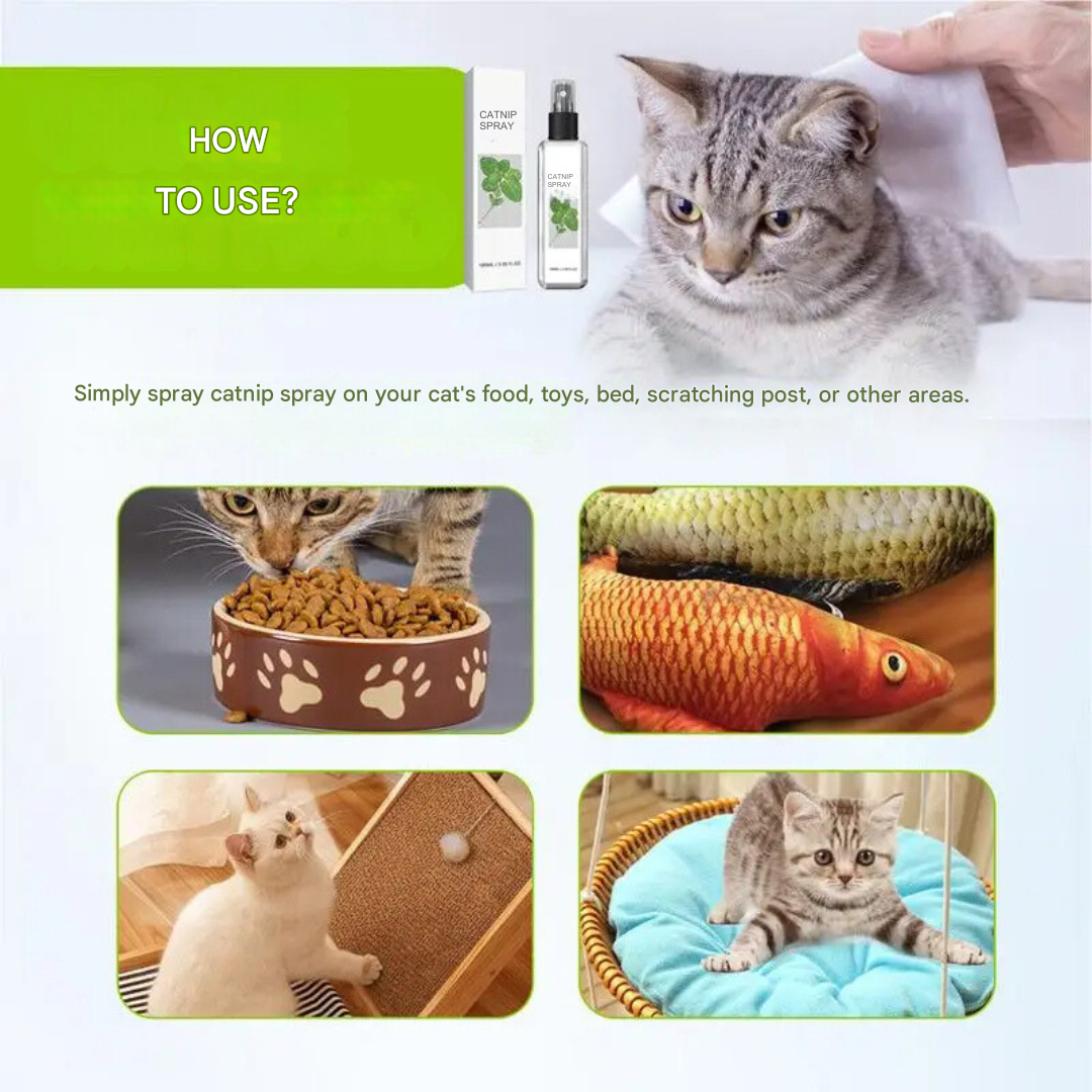 Soothing Cat Spray - SilverVine Bliss Spray-State of Style