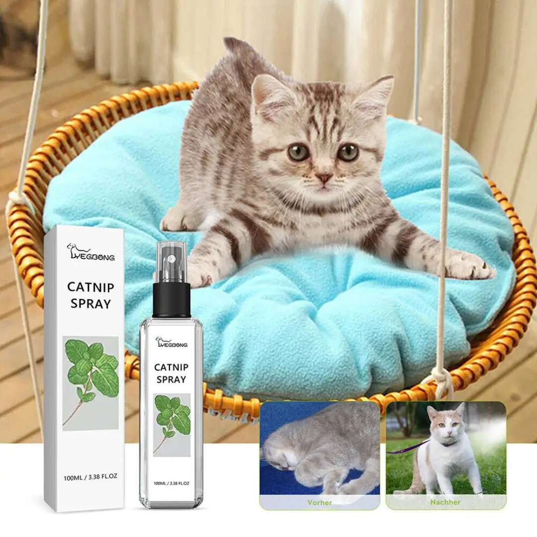 Soothing Cat Spray - SilverVine Bliss Spray-State of Style