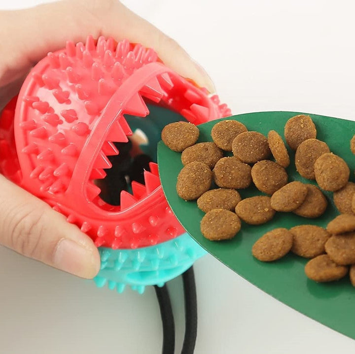 Sturdy Dog Tug Toy - PlayPaw-Blue + Pink-State of Style