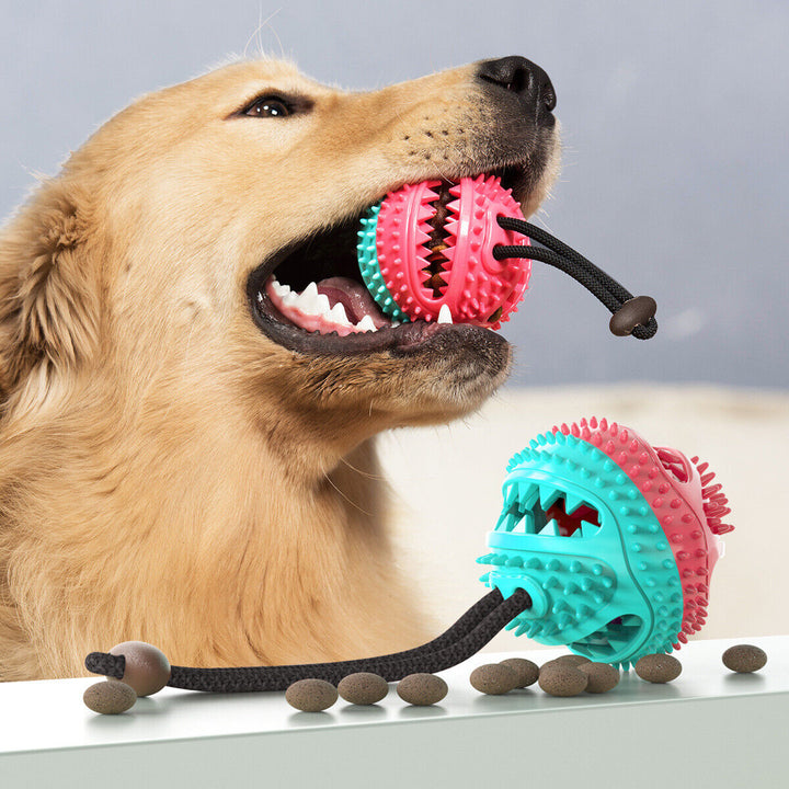Sturdy Dog Tug Toy - PlayPaw-Blue + Pink-State of Style