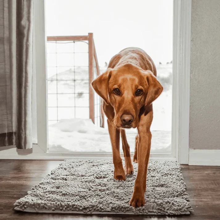 Super Absorbent Dog Mat – PawMat-Gray-40 X 60 cm-State of Style