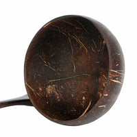 Sustainable Food Containers made from Coconut Shell - TropiBowl-State of Style