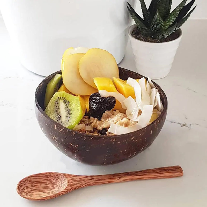 Sustainable Food Containers made from Coconut Shell - TropiBowl-State of Style