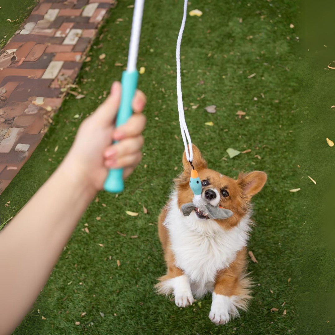 Tail Teaser Hondenspeelstok - Perfect voor Spel en Beweging!-State of Style