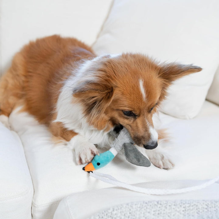 Tail Teaser Hondenspeelstok - Perfect voor Spel en Beweging!-State of Style