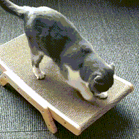 The 3-in-1 Cat Scratching Post and Lounger - ClawLounge™-State of Style