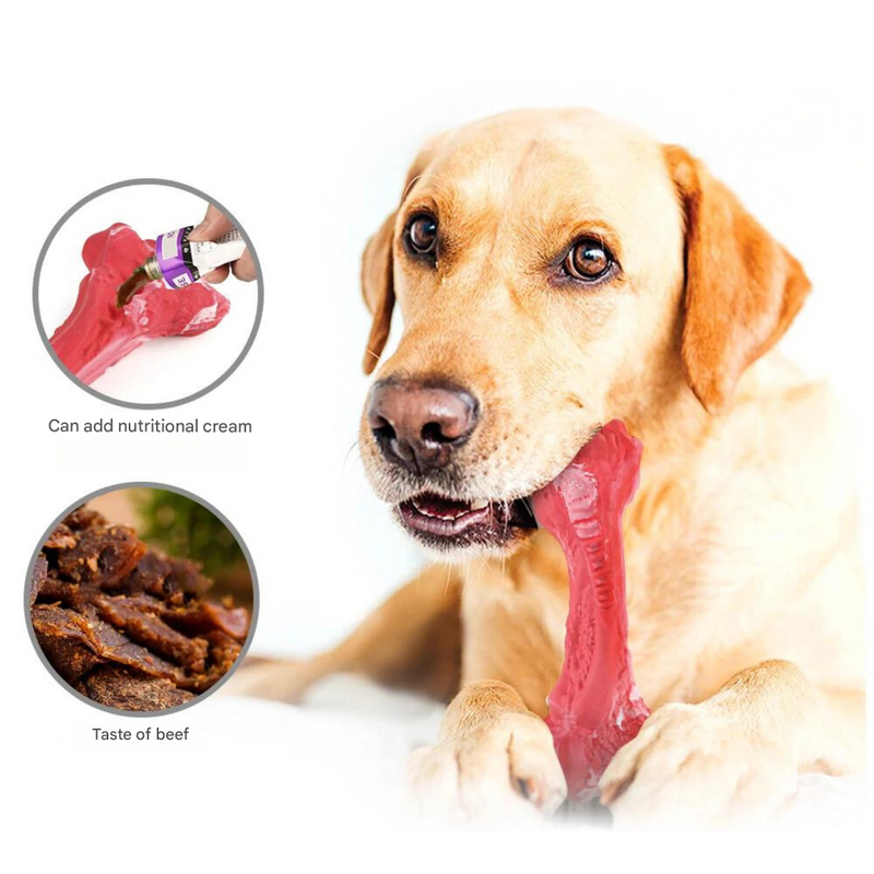 The Playful Dog Dentist - BuddyChew-S-State of Style