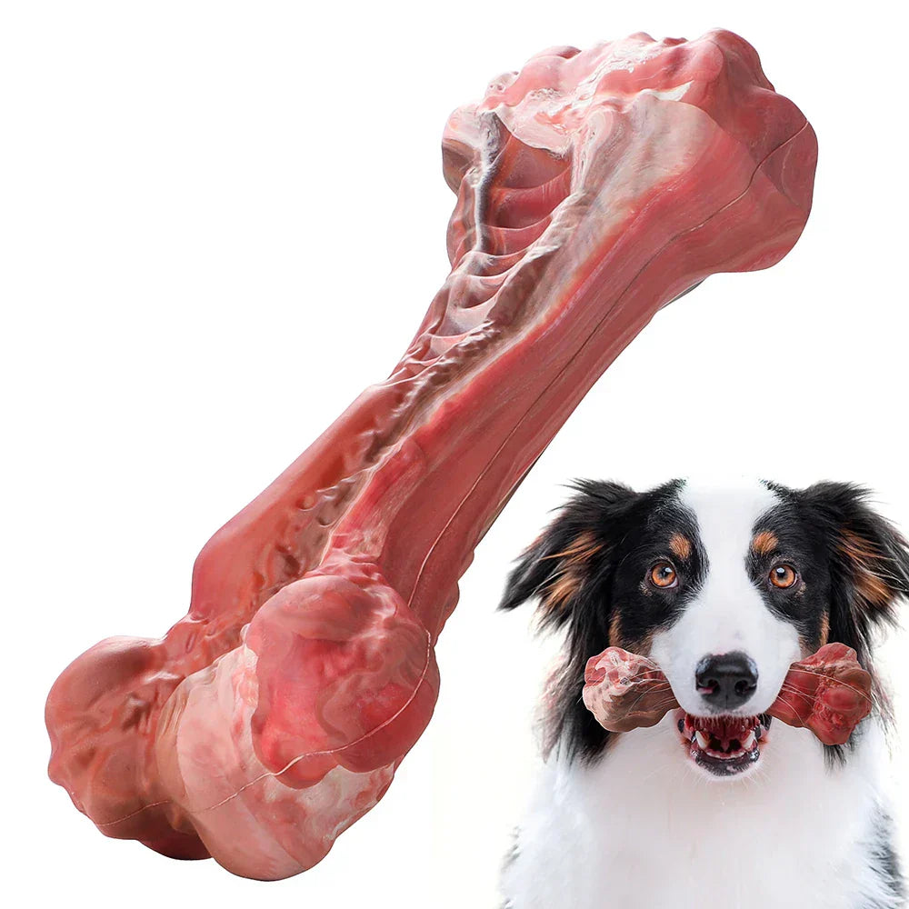 The Playful Dog Dentist - BuddyChew-S-State of Style
