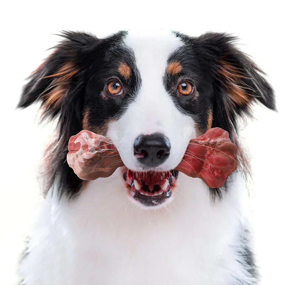 The Playful Dog Dentist - BuddyChew-S-State of Style