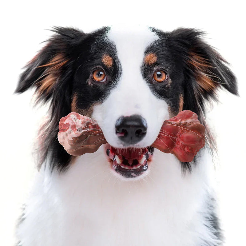 The Playful Dog Dentist - BuddyChew-S-State of Style