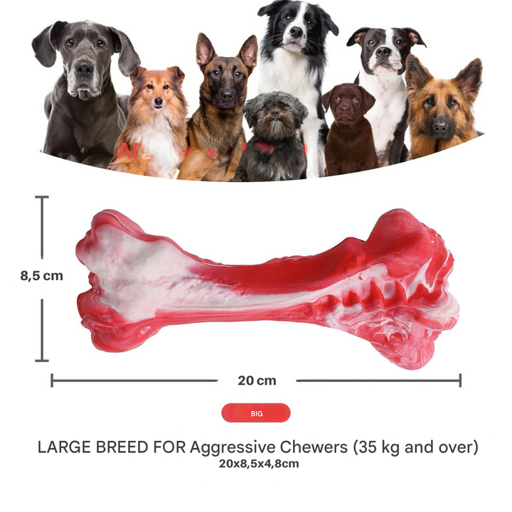 The Playful Dog Dentist - BuddyChew-S-State of Style