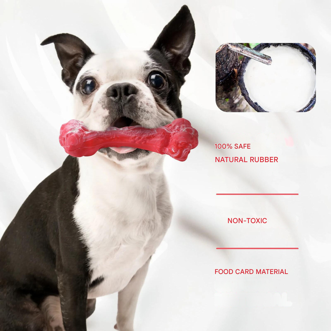 The Playful Dog Dentist - BuddyChew-S-State of Style