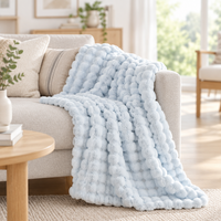 Pale blue bubble-textured plush blanket draped across a beige sofa with cushions and a plant in sunlight 16