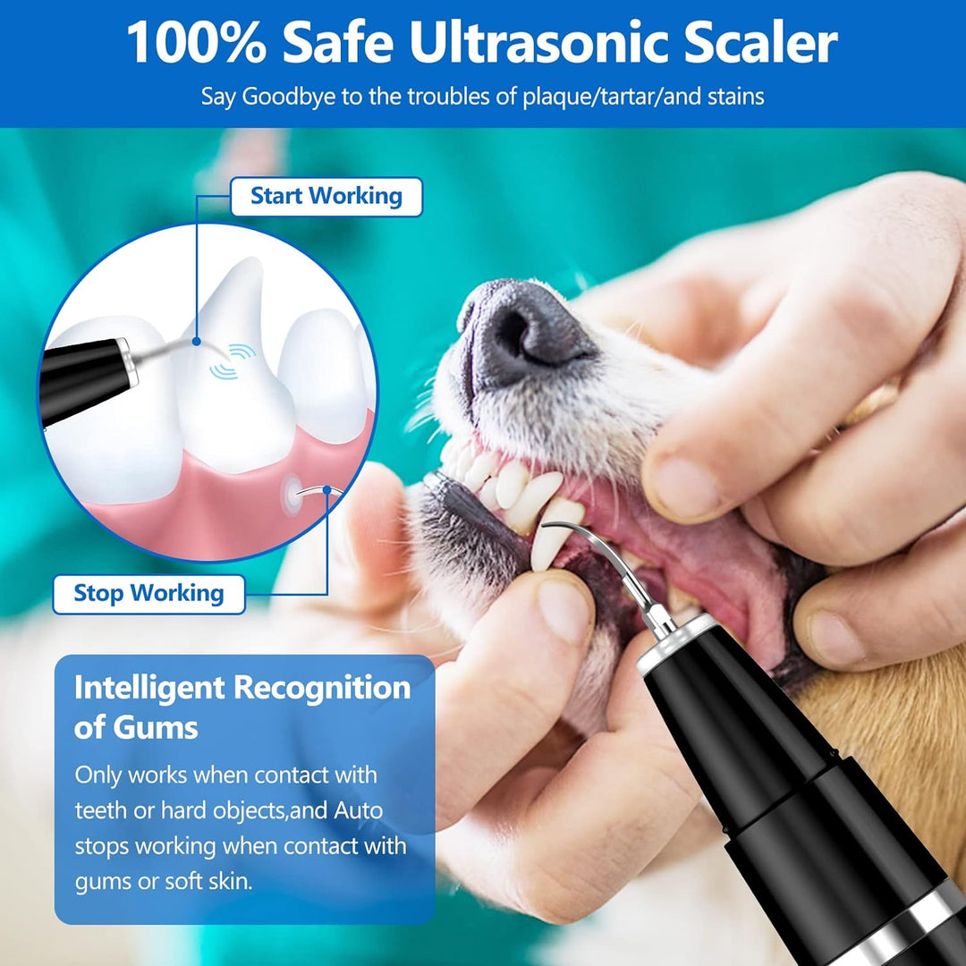 Ultrasonic Tooth Cleaning Set for Pets - BuddyCare-State of Style
