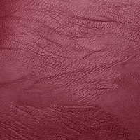 Premium Water-Resistant Leather Backpack for Women