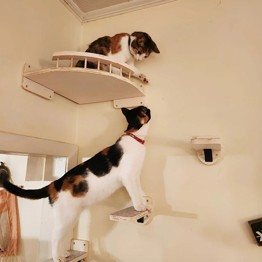 Wall Climbing Board for Cats with Scratching Post - ClimbPaws-First Step-State of Style