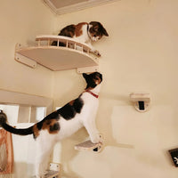 Wall Climbing Board for Cats with Scratching Post - ClimbPaws-First Step-State of Style