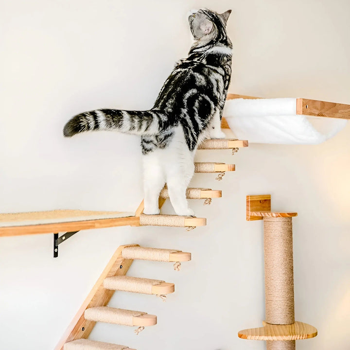 Wall Climbing Board for Cats with Scratching Post - ClimbPaws-First Step-State of Style
