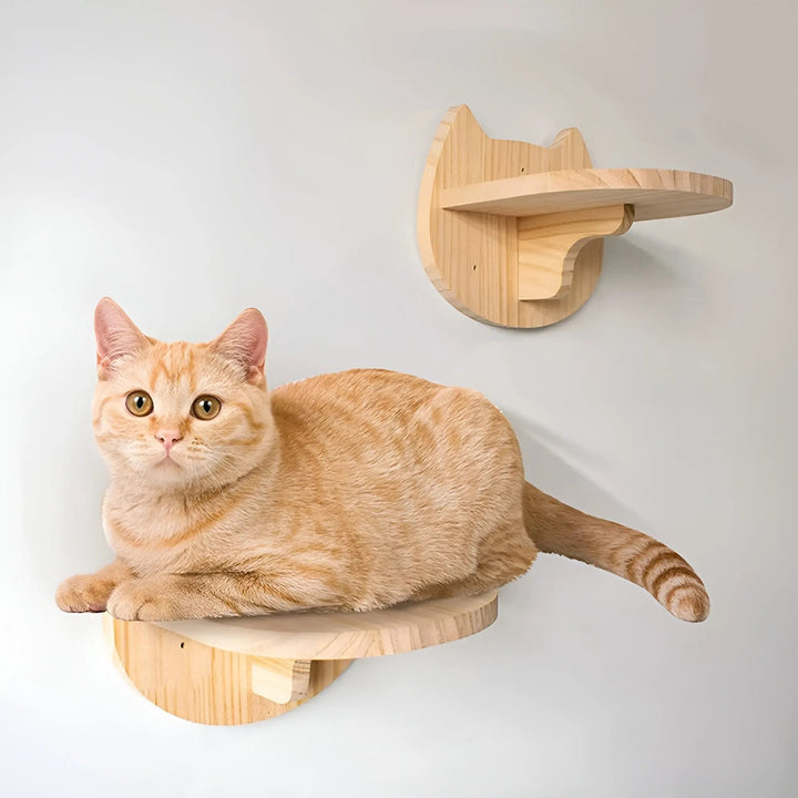 Wall Climbing Board for Cats with Scratching Post - ClimbPaws-First Step-State of Style