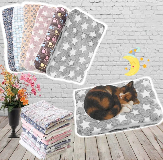 Warm Cat Blanket - SnuggleSoft-Gray & Star-S-State of Style