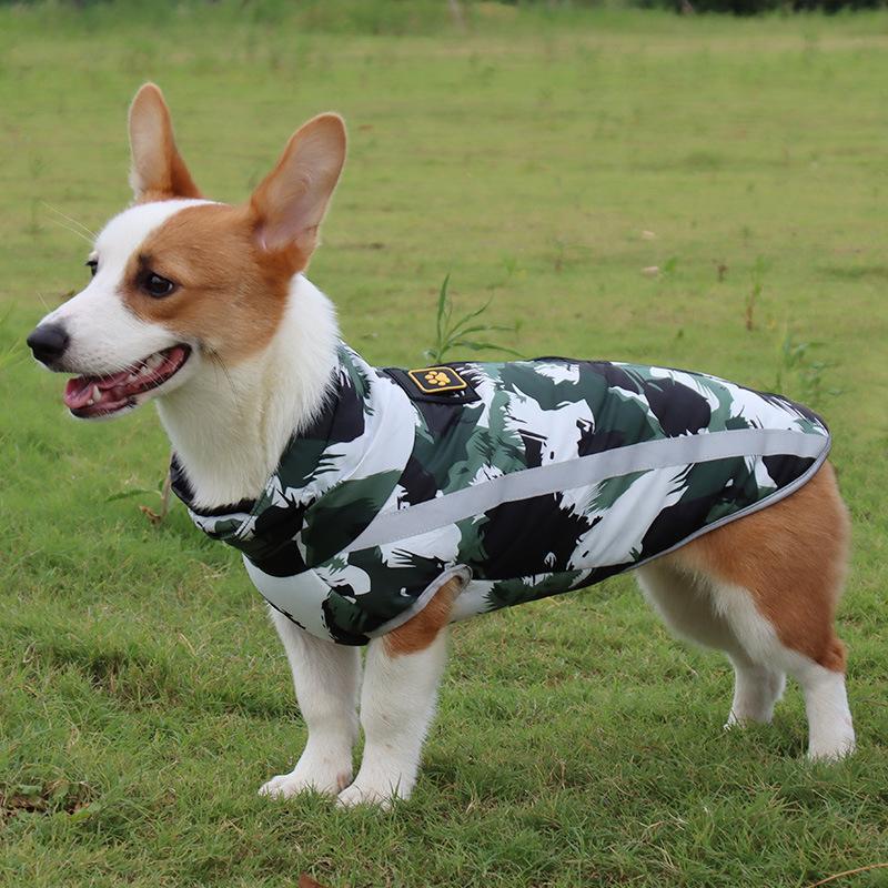 Waterproof Winter Jacket for Dogs - StormGuard-Red graffiti-XS-State of Style