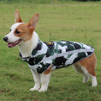 Waterproof Winter Jacket for Dogs - StormGuard-Red graffiti-XS-State of Style