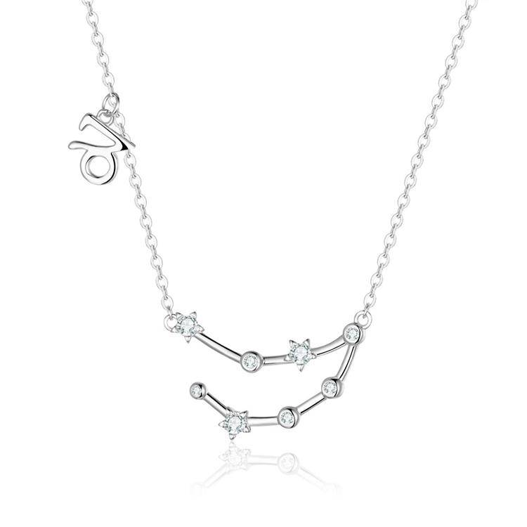 Zodiac Sign Astrology Necklace - Celestia-Silver-Capricorn-State of Style